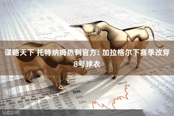 谋略天下 托特纳姆热刺官方: 加拉格尔下赛季改穿8号球衣